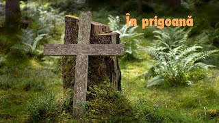 În prigoană